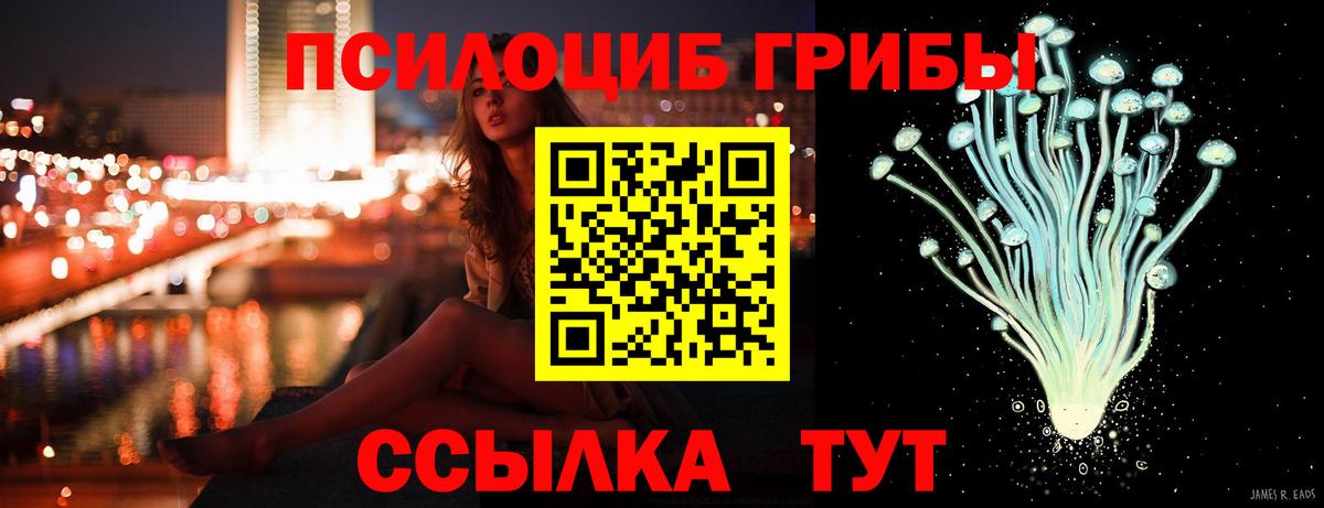 Сунжа  Галлюциногенные грибы MAGIC MUSHROOMS  Вход с VPN 
