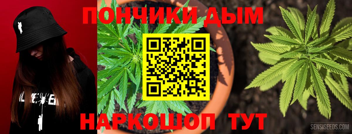 Бошки Шишки THC 21%  Бошки марихуана Ganja  Сунжа  Вход с VPN  Шишки марихуана сатива  Каннабис конопля 